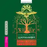 Постер книги Шаманизм. Личные поиски единения с природой и творением