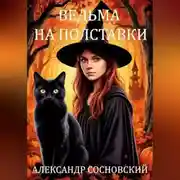 Постер книги Ведьма на полставки
