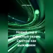 Постер книги Новый год в Офисный сезон. Смотри как выживаем