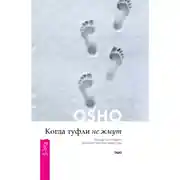 Постер книги Когда туфли не жмут. Беседы по историям даосского мистика Чжуан-цзы