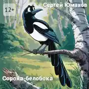 Постер книги Сорока-белобока