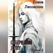 Постер книги Собери мою душу. Книга 2.
