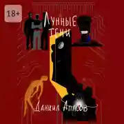 Постер книги Лунные тени. Параллельно задавая вопрос