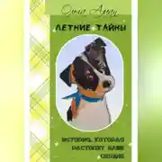 Постер книги Летние тайны
