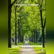 Постер книги Другое измерение