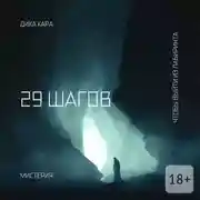 Постер книги 29 шагов. Чтобы выйти из Лабиринта