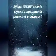 Постер книги Малюсенький сумасшедший роман номер 1.