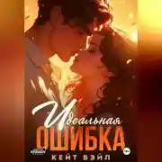Постер книги Идеальная ошибка