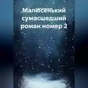Постер книги Малюсенький сумасшедший роман номер 2.
