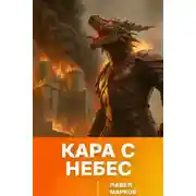Постер книги Кара с небес