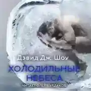 Постер книги Холодильные небеса