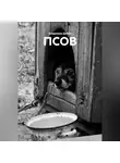 Владимир Дейко - ПСОВ