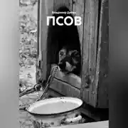 Постер книги ПСОВ