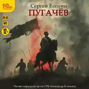 Постер книги Пугачёв