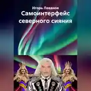 Постер книги Самоинтерфейс северного сияния