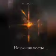 Постер книги Не сжигая мосты