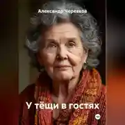 Постер книги У тёщи в гостях