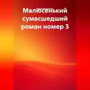 Постер книги Малюсенький сумасшедший роман номер 3.