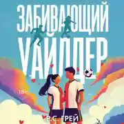 Постер книги Забивающий Уайлдер