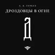 Постер книги Дроздовцы в огне