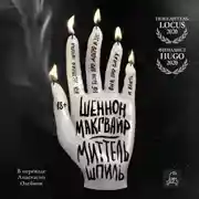 Постер книги Миттельшпиль