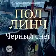 Постер книги Черный снег