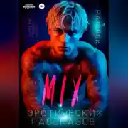 Постер книги Микс эротических рассказов