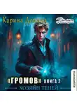 Карина Демина - Громов: Хозяин теней – 2