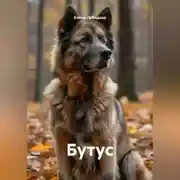 Постер книги Бутус