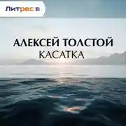 Постер книги Касатка