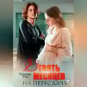 Постер книги Девять месяцев на пересдачу