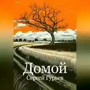 Постер книги Домой