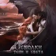 Постер книги Осколки тени и света