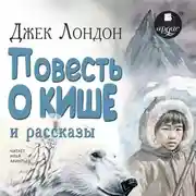 Постер книги «Повесть о Кише» и рассказы