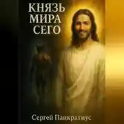 Постер книги Князь мира сего