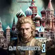 Постер книги Сын Тишайшего 3