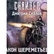 Постер книги Закон Шереметьево