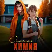 Постер книги Опасная Химия