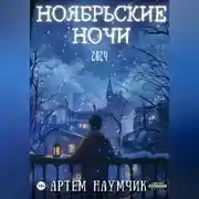 Постер книги Ноябрьские ночи