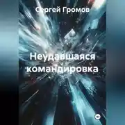 Постер книги Неудавшаяся командировка