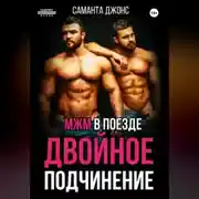 Постер книги МЖМ в поезде. Двойное Подчинение