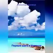 Постер книги Первые шаги в Израиле