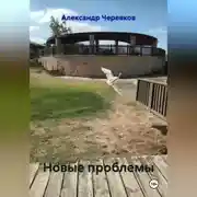Постер книги Новые проблемы
