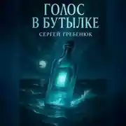 Постер книги Голос в бутылке