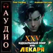Постер книги Идеальный мир для Лекаря 25