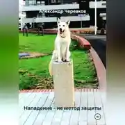 Постер книги Нападение – не метод защиты