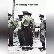 Постер книги Неожиданный дембель