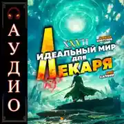 Постер книги Идеальный мир для Лекаря 27