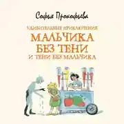 Постер книги Удивительные приключения мальчика без тени и тени без мальчика