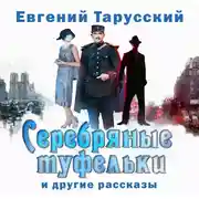 Постер книги Серебряные туфельки